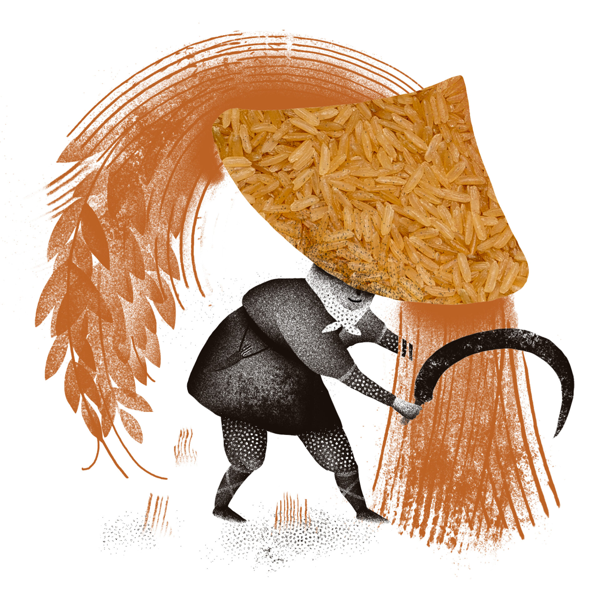 Illustratsioon riisipakile - Tartu Mill