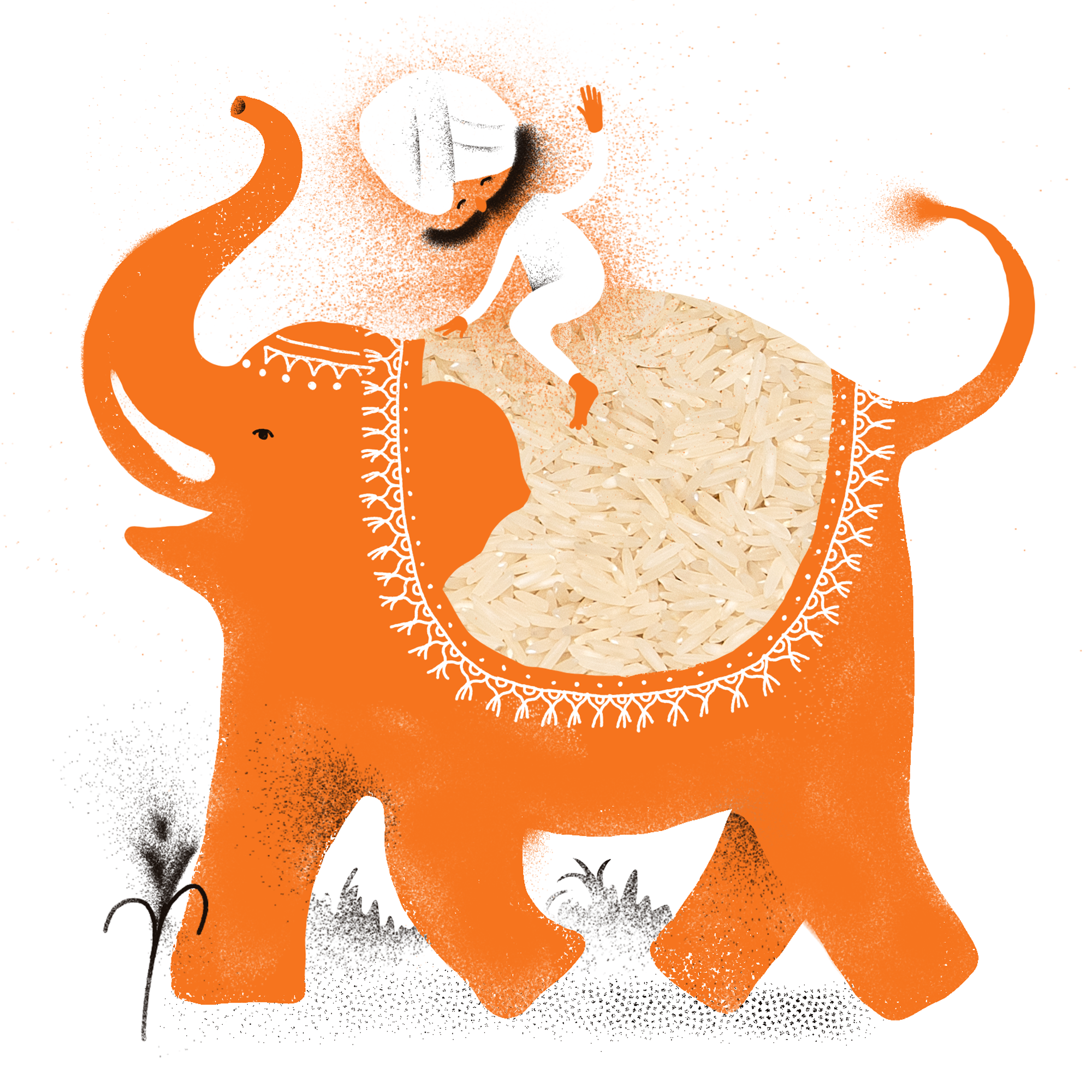 Illustratsioon riisipakile - Tartu Mill
